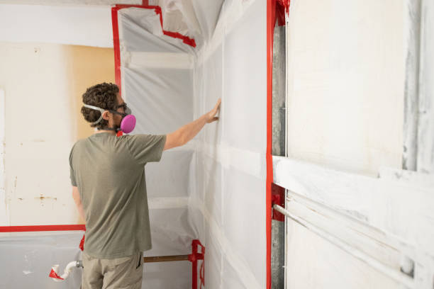  Granger, TX Mold Removal Pros