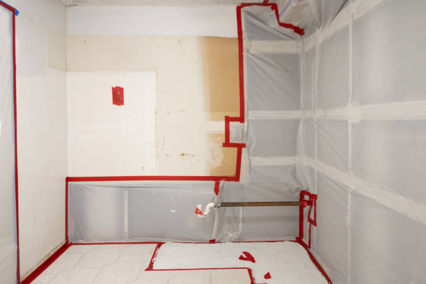 Best Air Quality Testing for Mold Spores  in Granger, TX
