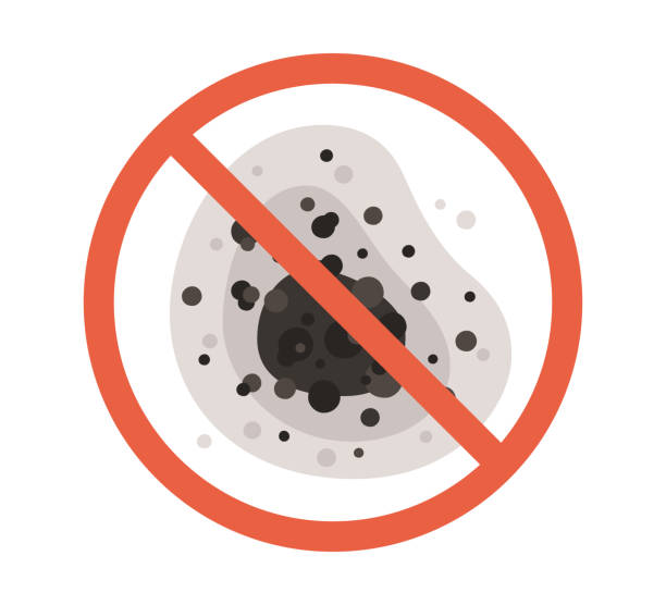 Best Mold Remediation for Healthcare Facilities  in Granger, TX