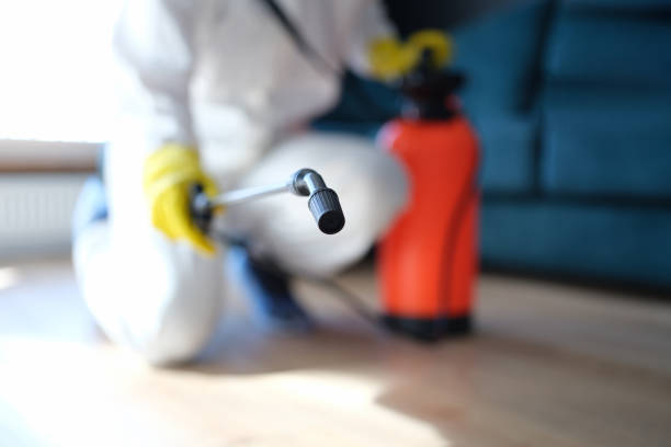 Best Residential Mold Inspection & Testing  in Granger, TX