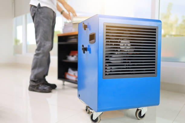 Dehumidification Services in Granger, TX