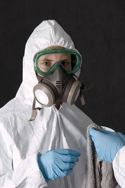 Best Mold Removal for HVAC Installations  in Granger, TX