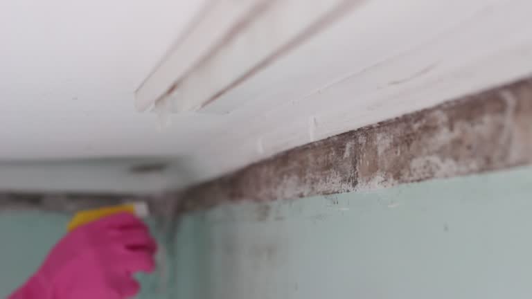Best Post-Remediation Verification Testing  in Granger, TX